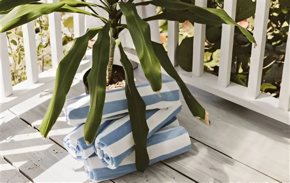 Potted plant with long green leaves sits on a wooden deck beside neatly folded blue-and-white striped towels, sunshine casting shadows.