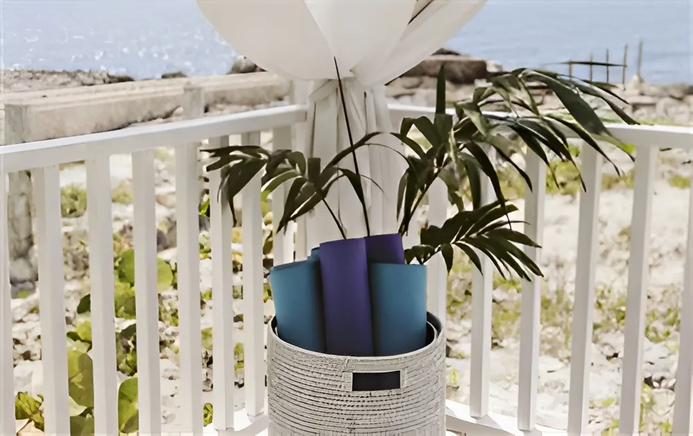 A seaside balcony planter holds a palm in blue and purple pots behind white railings, with the ocean in the background.