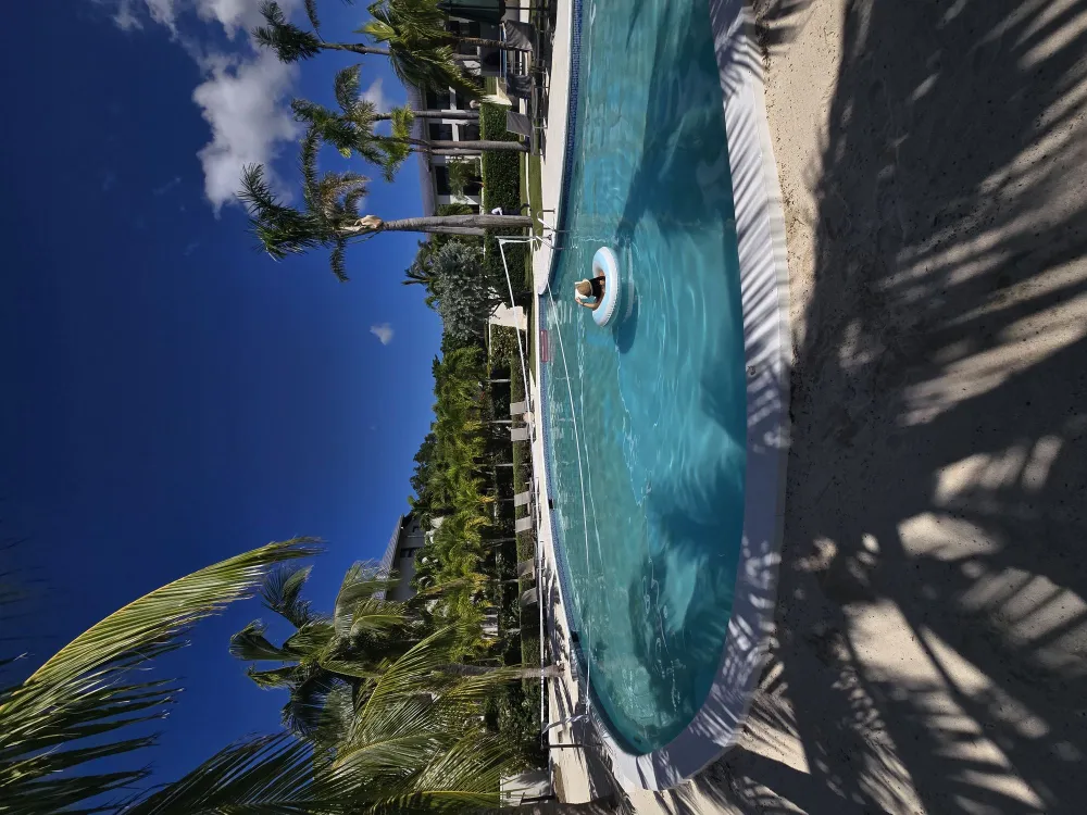 A sunny tropical pool with palm trees, lounge chairs, and a clear blue sky, casting shadows across the water.