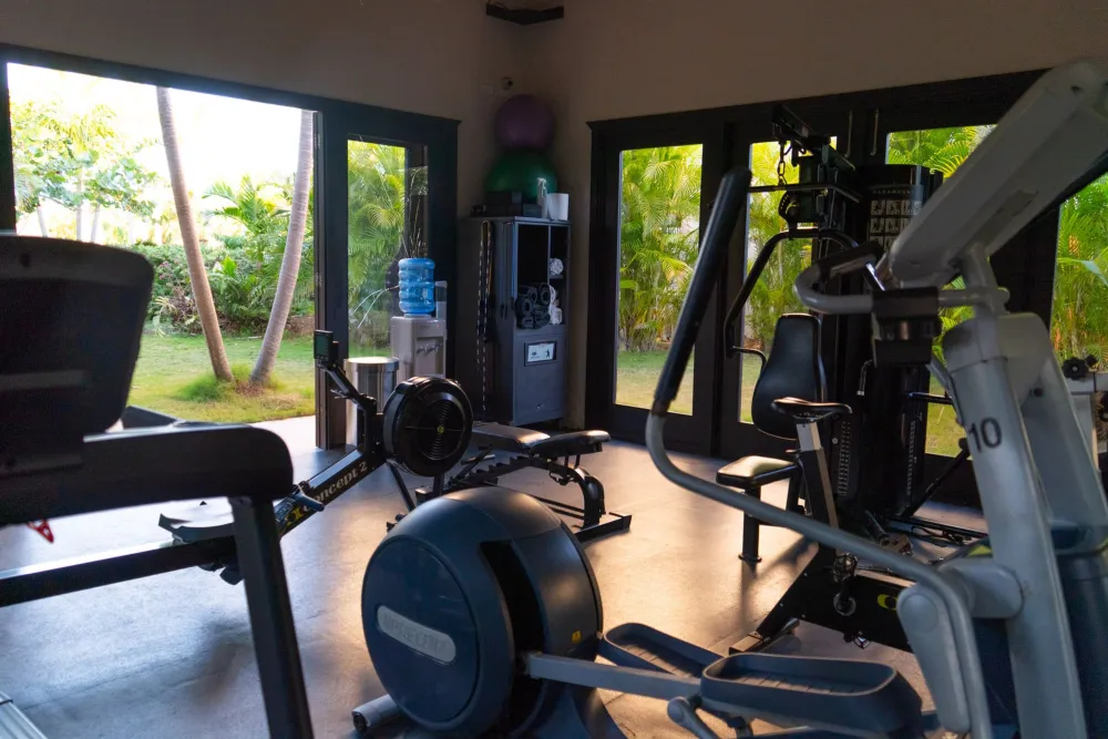 A modern gym with cardio and strength machines, large windows, and natural light streaming in from outside.