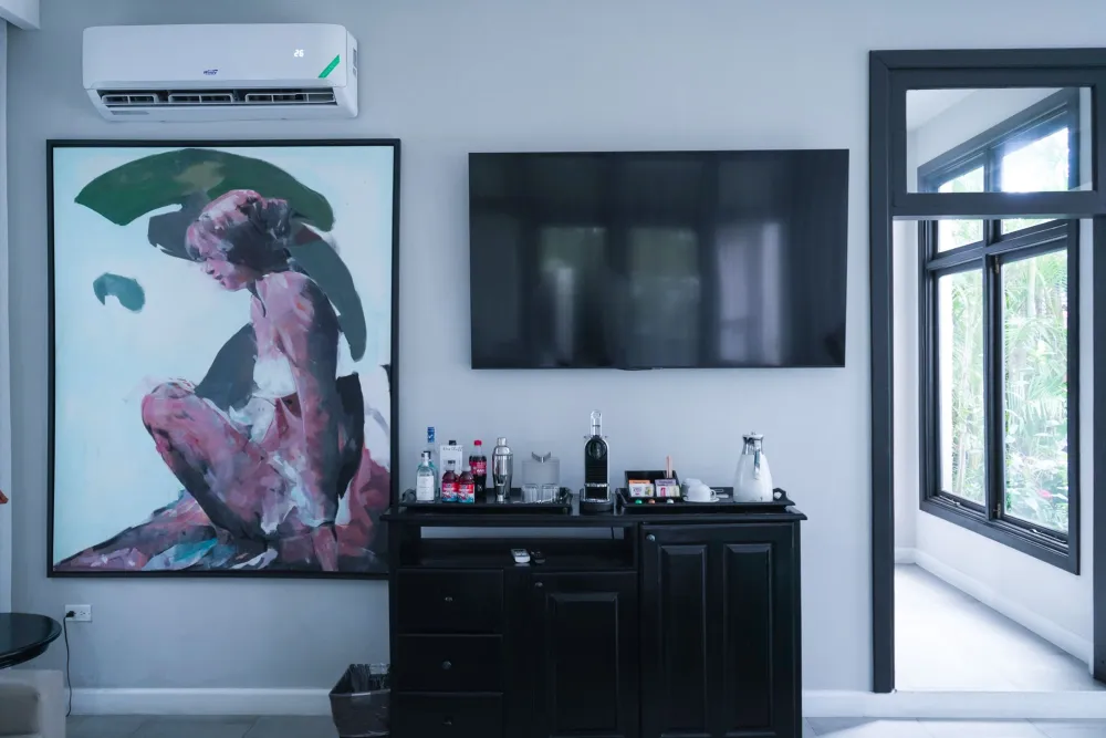 A stylish living space with a wall-mounted TV, a black cabinet topped with bottles, a large framed dog artwork, and a split air conditioner above.