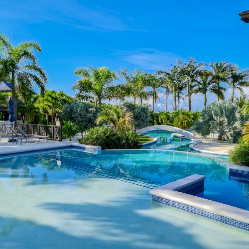 A sunny tropical poolside scene with clear blue water, palm trees, lounge chairs, and a bright, inviting vibe.
