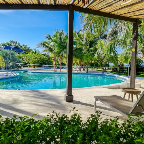 A tropical poolside view with a bright blue swimming pool, palm trees, lounge chairs, and a sunny, clear sky.