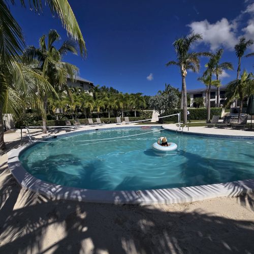 A sunny tropical pool with palm trees, lounge chairs, and a clear blue sky, casting shadows across the water.