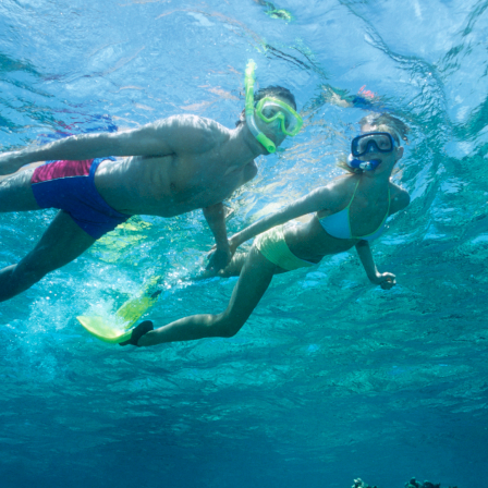 Two people snorkeling underwater, wearing masks and fins, gliding over a clear blue reef as sunlight shimmers above them.